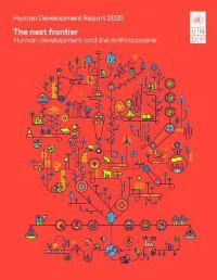 Book Cover for Human Development Report 2020 by United Nations Development Programme