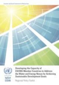 Book Cover for Developing the Capacity of ESCWA Member Countries to Address the Water and Energy Nexus for Achieving Sustainable Development Goals by United Nations