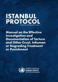 Book Cover for Istanbul Protocol by United Nations