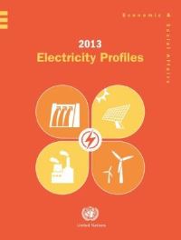 Book Cover for 2013 Electricity Profiles by United Nations