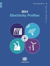 Book Cover for 2014 Electricity Profiles by United Nations Department of Economic and Social Affairs