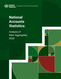 Book Cover for National Accounts Statistics by United Nations Department of Economic and Social Affairs