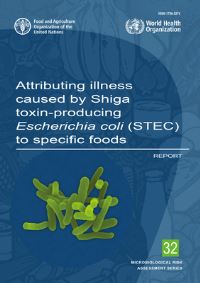 Book Cover for Attributing Illness Caused by Shiga Toxin-Producing Escherichia Coli (STEC) to Specific Foods by Food and Agriculture Organization of the United Nations