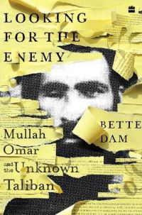 Book Cover for Looking for the Enemy by Bette Dam