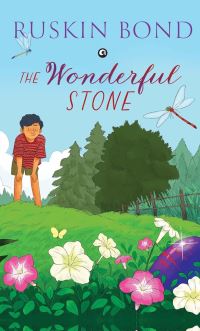 Book Cover for The Wonderful Stone by Ruskin Bond