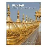 Book Cover for The Punjab by Abha Narain Lambah