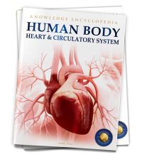 Book Cover for Human Body by 