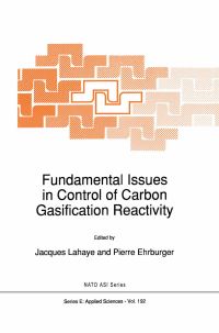 Book Cover for Fundamental Issues in Control of Carbon Gasification Reactivity by L Lahaye, Pierre Ehrburger