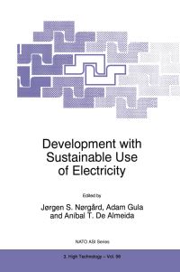 Book Cover for Development With Sustainable Use of Electricity by Jørgen S Nørgård, Adam Gula, A de Almeida