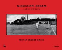 Book Cover for Mississippi Dream by Larry Niehues