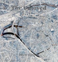 Book Cover for The Unloved by Tessa Rosebrock, Filip L Demeyer, Nav Haq, Till Borchert, Hubert de Witte, Ellen Harvey