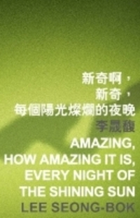 Book Cover for Amazing, How Amazing It Is, Every Night of the Shining Sun by Lee Seongbok