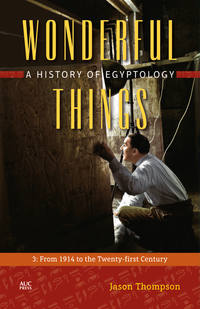 Book Cover for Wonderful Things 3 From 1914 to the Twenty-First Century by Jason Thompson