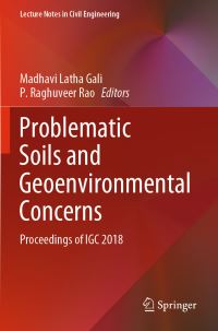 Book Cover for Problematic Soils and Geoenvironmental Concerns by Madhavi Latha Gali, P Raghuveer Rao