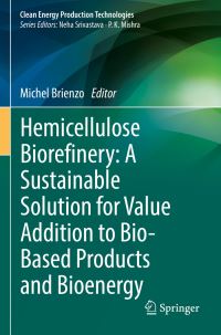 Book Cover for Hemicellulose Biorefinery by Michel Brienzo