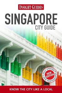 Book Cover for Singapore by Amy Van
