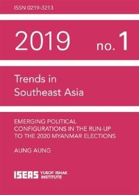 Book Cover for Emerging Political Configurations in the Run-Up to the 2020 Myanmar Elections by Aung Aung
