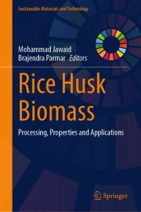 Book Cover for Rice Husk Biomass by Mohammad Jawaid, Brajendra Parmar