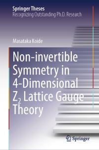 Book Cover for Non-Invertible Symmetry in 4-Dimensional Z2 Lattice Gauge Theory by Masataka Koide