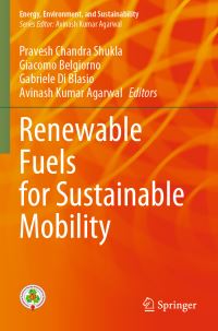 Book Cover for Renewable Fuels for Sustainable Mobility by Pravesh Chandra Shukla, Giacomo Belgiorno, Gabriele Di Blasio, Avinash K Agarwal