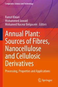 Book Cover for Annual Plant by Ramzi Khiari, Muhammad S Jawaid, Mohamed Naceur Belgacem