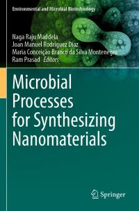 Book Cover for Microbial Processes for Synthesizing Nanomaterials by Naga Raju Maddela, Joan Manuel Rodríguez Díaz, Maria Conceição Branco da Silva Montenegro, Ram Prasad