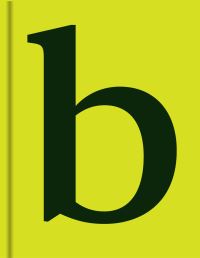 Book Cover for Mini Serif In Use by Victionary