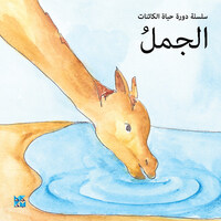 Book Cover for Camel by HBKU Press