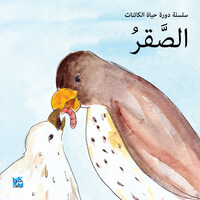Book Cover for Falcon by HBKU Press