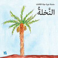 Book Cover for Palm by HBKU Press