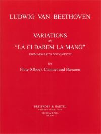 Book Cover for Variations on 