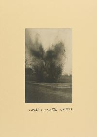 Book Cover for Will Write Soon by David Thomson