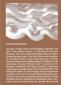Book Cover for Dineo Seshee Bopape by Chus Martínez, Uhuru Phalafala
