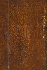 Book Cover for Gian Maria Tosatti by Anselm Kiefer, Eugenio Viola