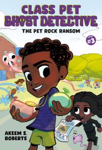 Book Cover for The Pet Rock Ransom by Akeem S Roberts