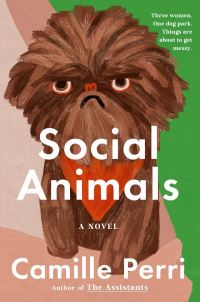 Book Cover for Social Animals by Camille Perri