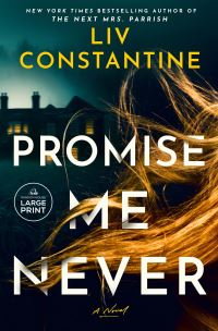 Book Cover for Promise Me Never by Liv Constantine