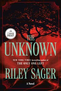 Book Cover for The Unknown by Riley Sager