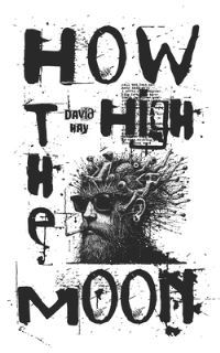 Book Cover for How High The Moon by David Hay