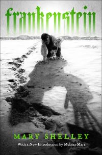 Book Cover for Frankenstein by Mary Shelley