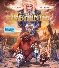 Book Cover for Jim Henson's Labyrinth by Liz Braswell