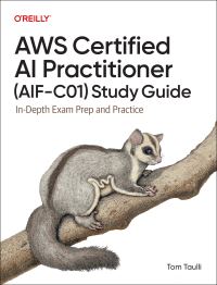 Book Cover for AWS Certified AI Practitioner Study Guide by 