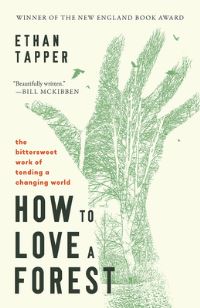 Book Cover for How to Love a Forest by Ethan Tapper