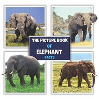Book Cover for The Picture Book of Elephant Facts by James K Mahi