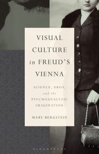Book Cover for Visual Culture in Freud's Vienna by Mary Bergstein