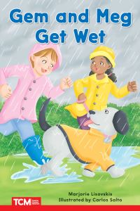 Book Cover for Gem and Meg Get Wet by Marjorie Lisovskis, Margie Lisovskis