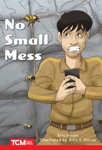Book Cover for No Small Mess by Eric Braun