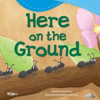 Book Cover for Here on the Ground by Dona Rice