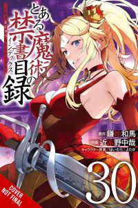 Book Cover for A Certain Magical Index. Volume 30 by Kazuma Kamachi