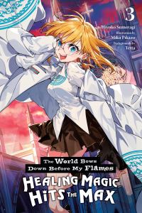 Book Cover for Healing Magic Hits the Max by Hiyoko Sumeragi